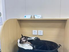 -美联众合爱康动物医院•复杂内科•肿瘤科•牙科•腔镜诊疗中心