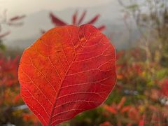 -慕田峪长城