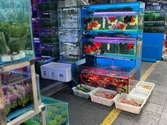 -青石桥花鸟鱼虫市场(叠翠城店)