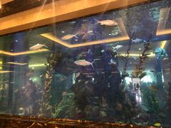 -碧桂园凤凰城酒店(南京店)