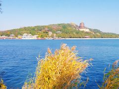-颐和园