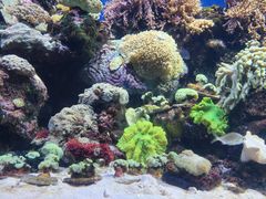 -珠海长隆海洋王国