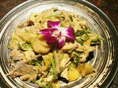 麻油鸡-上楼私房菜(院士路店)