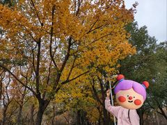 -白塘生态植物园