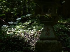 -上色见熊野座神社
