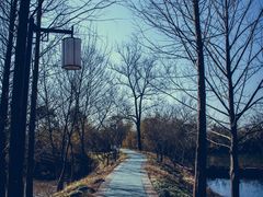 -西溪国家湿地公园