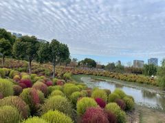 -春花秋色城市公园