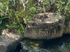 -中国茶叶博物馆(双峰馆区)