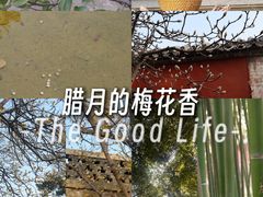 -泰山风景名胜区-普照寺