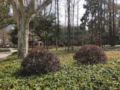 -徐家汇源景区-衡山公园