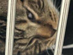 -美联众合动物医院·24h京西诊疗中心
