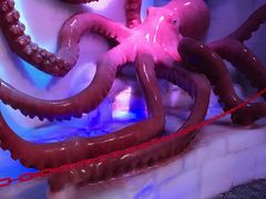 -梦幻奥陶纪景区