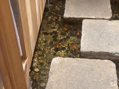 -邈墨茶馆(凤起路店)