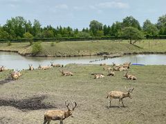 -溱湖国家湿地公园