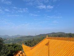 -深圳仙湖植物园