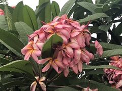 -河源客天下-温泉小镇