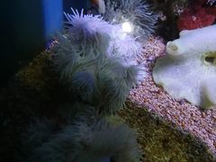 -大连老虎滩海洋公园