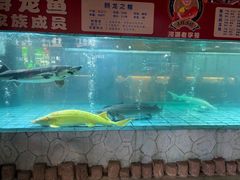 -年辉渔村·非遗传承餐厅(新丰江店)