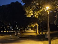 -尚贤河湿地