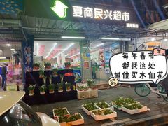 -溪岸路花鸟市场