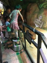 -酷嗒动物文化乐园(cutezoo西溪乐天城店)