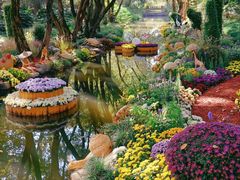 -上海共青森林公园