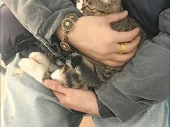 -美联众合动物医院·24h京西诊疗中心