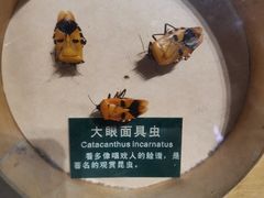 -陕西自然博物馆