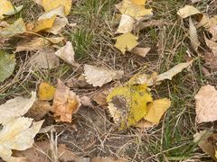 -回龙观体育文化公园