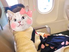 -海南海航航空信息系统公司