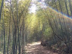 android_upload_pic-小格里自然风景区