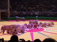 -西安秦岭野生动物园