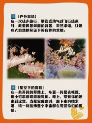 -迈瑞米求婚策划(静安店)