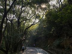 -惠山国家森林公园