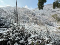 -东白山