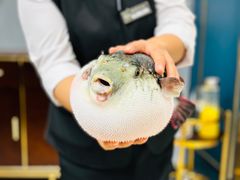 -鲐赏河豚(长寿店)