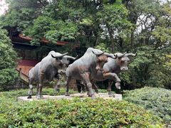 -昆明市金殿名胜区