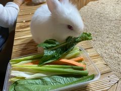 -昆明大悦城未来动物城(螺蛳湾中心店)