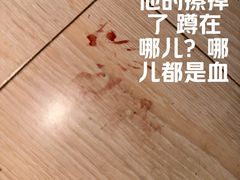 -A猫a狗全科·犬猫异宠·芥西宠物医院(南开总院)