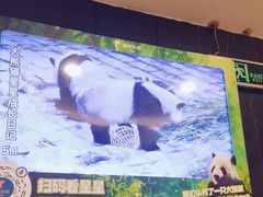 -眉州东坡(团结湖店)