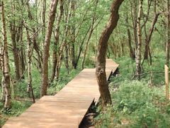 -白草畔自然风景区