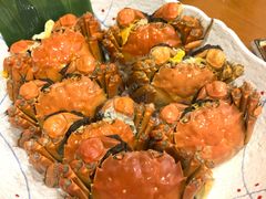 -银子铁板烧料理自助餐(人民广场店)