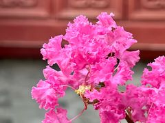 -天津大悲禅院