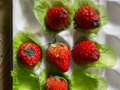 -大昌超市(中环店)