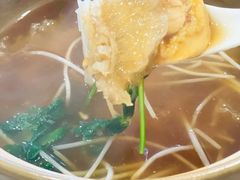 -大中鱼翅 Taitong Shark Fin