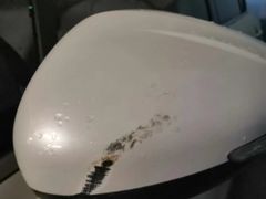 -上海交通大学医学院附属第九人民医院·停车场