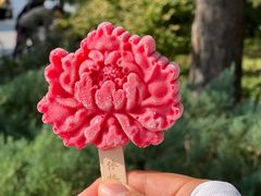 -国家植物园