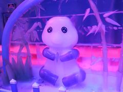 -珠海海泉湾神秘岛亲子乐园