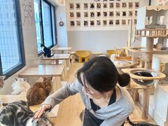 -有喵·猫咖·狗咖·40+猫狗有小奶狗(岗厦店)