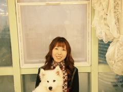 -共舞时光猫咖·狗咖(新街口店)